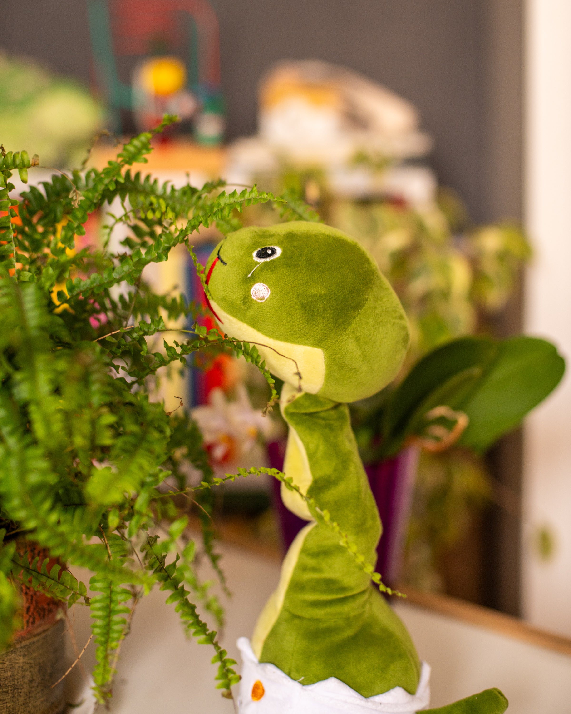 Gadułka - Wąż Rozmawia & Tańczy