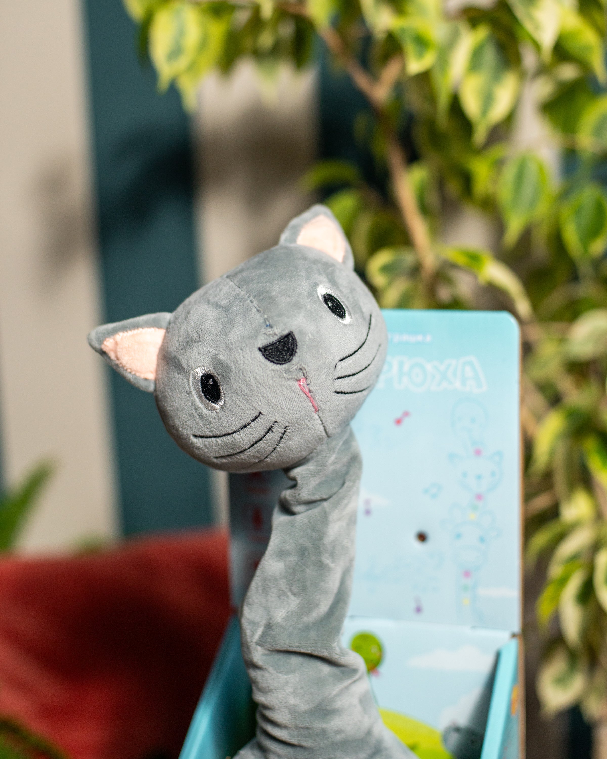 Gadułka - Kotek Rozmawia & Tańczy