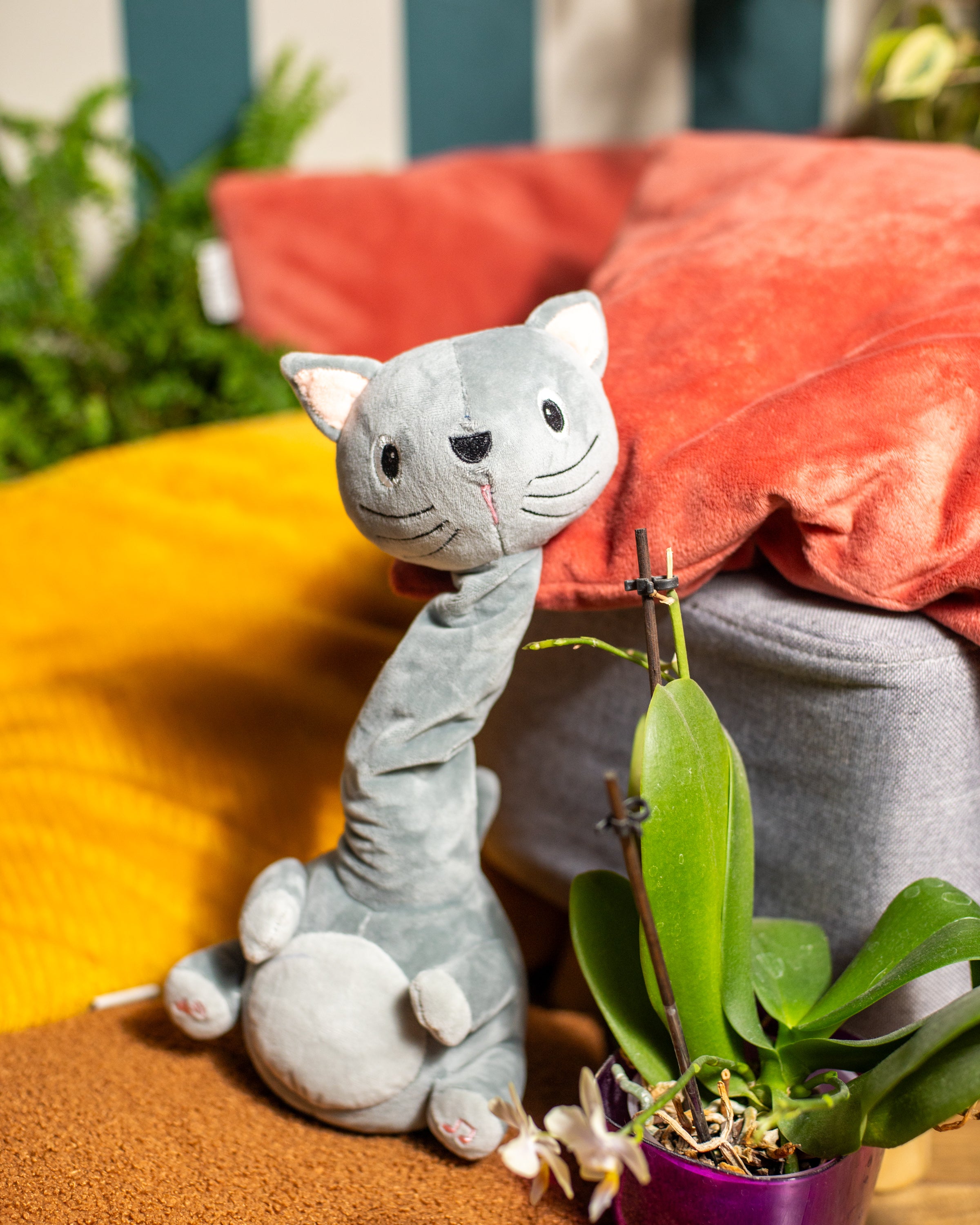 Gadułka - Kotek Rozmawia & Tańczy