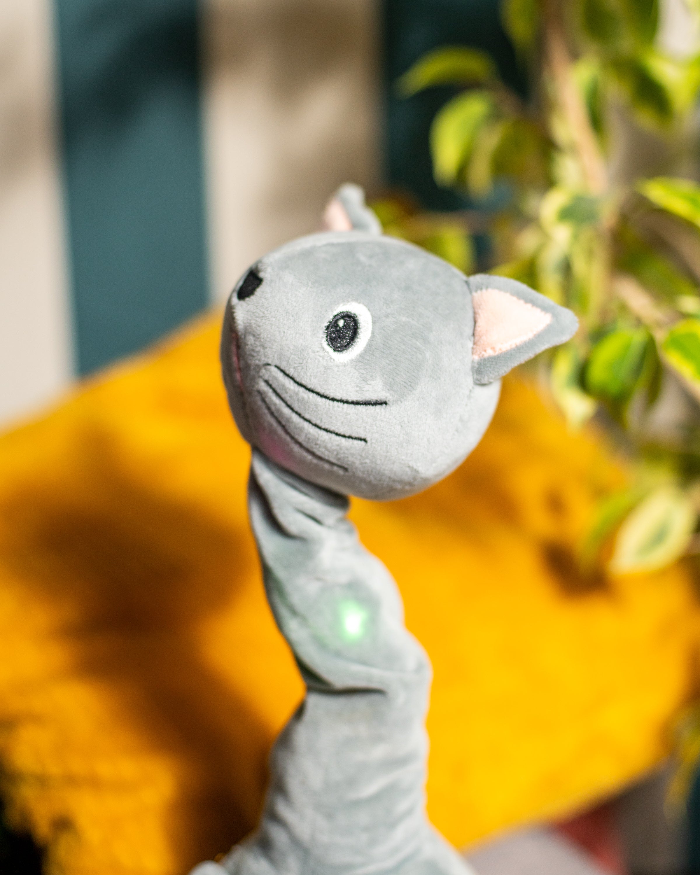 Gadułka - Kotek Rozmawia & Tańczy